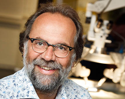 Maarten Steinbuch Maarten Steinbuch